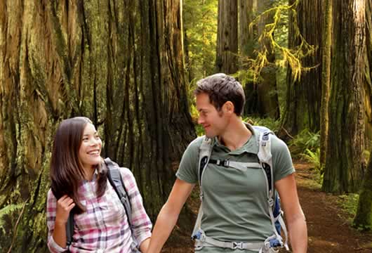 Redwood Suites Guests Hiking in the Redwoods